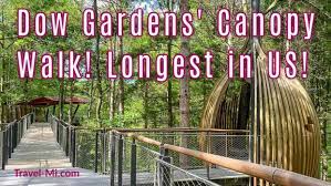 dow gardens canopy walk longest canopy