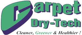 carpet dry tech carpet cleaning