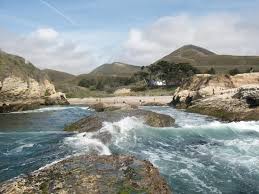 Check Out The Tide Pools Review Of Morro Bay State Park