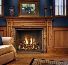 Gas Stoves For Cozy Home Heating The