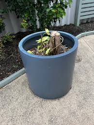 Large Pot With Plant Pots Garden