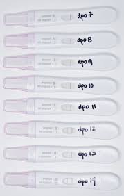 Early Pregnancy Test Results For Different Brands Pregnancy
