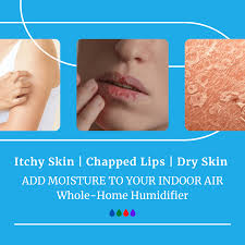 humidifiers for dry skin chapped lips