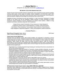 Business System Analyst Resume Example     ilivearticles info
