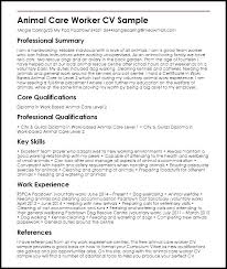 Skills Section Of Resume Example Simple Resume Format