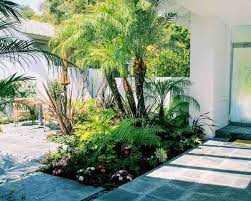 Small Tropical Backyard Ideas
