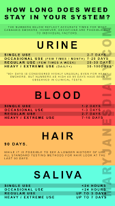 How Long Does Weed Stay In Your System Mary Janes Diary