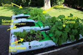 How To Grow Vegetables In Garden Soil Bags