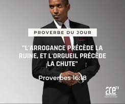 ACE_Proverbes #Le_Proverbe_du_Jour Au... - Africa Circle TV | Facebook