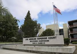 State Hospitals Linked To Court Via Video Los Angeles