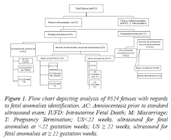 Fetal Anomalies Detection In China By Screening With Ultrasound