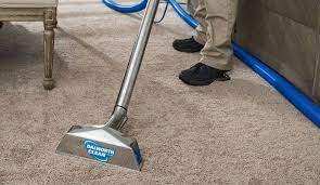 carpet mold mildew removal service in