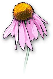 free flower clipart and graphics
