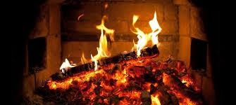wood burning fireplace or gas fireplace
