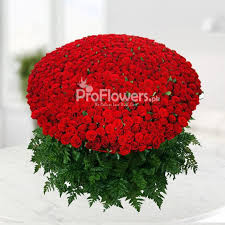 1000 roses love i valentine red roses i