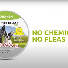 natural flea and tick prevention collar