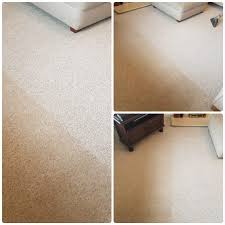 fresh n clean sheffield carpet
