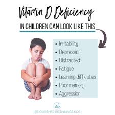 vitamin d the brain and behaviour