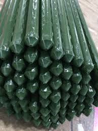 Tubular Steel Plastic Coated Canes 12mm