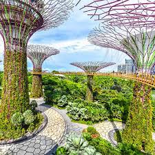 singapore garden by the bay rmg tours