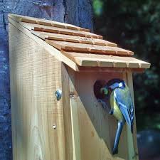 installer un nichoir pour oiseaux du