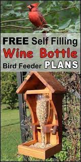 Diy Homemade Wine Bottle Bird Feeder