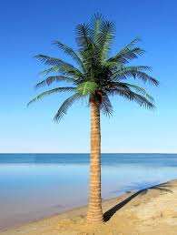 Outdoor Artificial Coconut Palm Tree