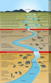 Wall Chart Complex Life On Earth Timeline Starting From