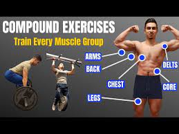 top 5 compound exercises for beginners