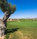 Golf Course Living at an Affordable Price - Welcome to Sierra Golf ...