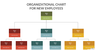 Org Chart For New Employees You Can Edit This Template And