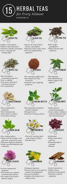Medicinal Teas And Their Uses Charts And Recipes