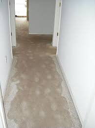 water damaged carpets