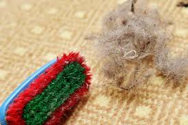 how to get hair out of carpet