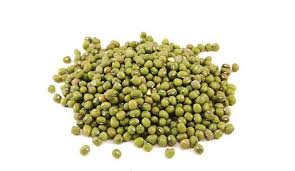 Di indonesia, kacang hijau adalah salah satu tanaman pangan yang paling banyak benih yang digunakan adalah benih yang berkualitas sehingga hasilnya lebih optimal. Kacang Hijau