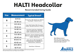 Halti Head Collar Head Halter Collar For Dogs Head Collar To Stop Pulling For Medium Dogs