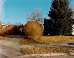 Facebook gives people the power to share and makes the. Stephen Shore North Black Avenue Bozeman Montana January 16 1981 For Sale Artspace