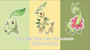 Sự Tiến Hóa Của Pokemon Chicorita - YouTube