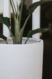 perth planter textured white pots