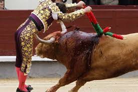 Reaparecerán las corridas de toros en Bucaramanga | Vanguardia.com