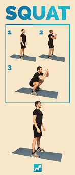 the only 12 exercises you need to get