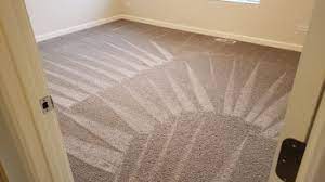 best 15 carpet cleaners in roselle il