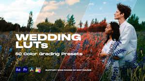 colorify wedding luts premiere pro