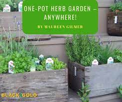One Pot Herb Garden Anywhere Black