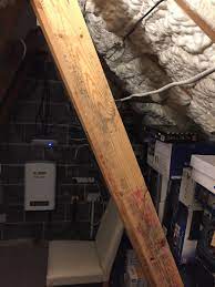 mold on wood beams the mold hound