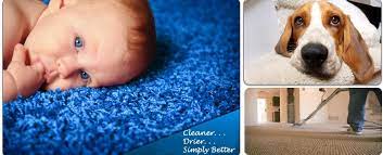 simply clean carpet cleaning carpet