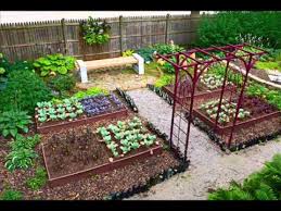 Vegetable Garden Design I Vegetable