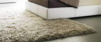 venus carpets