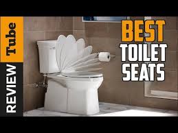 how to replace a toilet seat how to