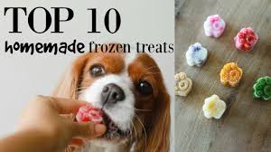 the benefits of homemade dog treats